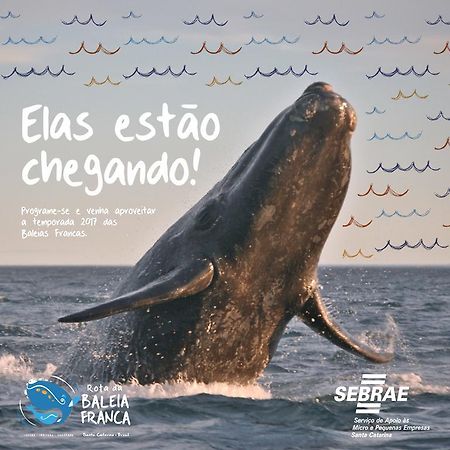 Готель Quinta Do Bucanero Прая-ду-Роса Екстер'єр фото